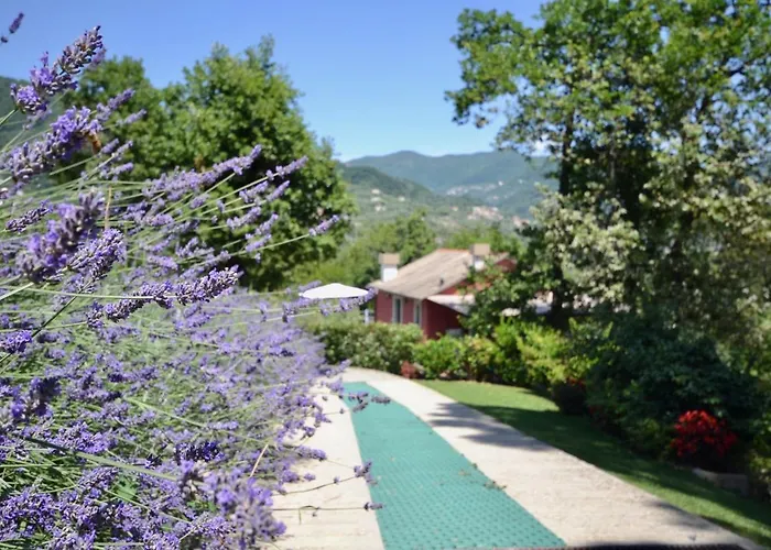I Giardini Di - Rumanin, Garden&pool *